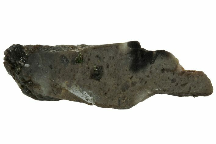 NWA Lunar Meteorite ( g) Slice #307594